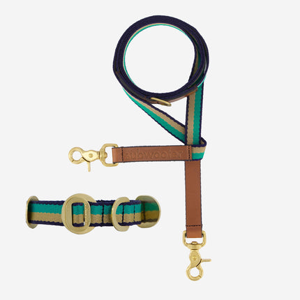 Starter Set - Collar + Lead Small