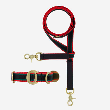 Starter Set - Collar + Lead Small