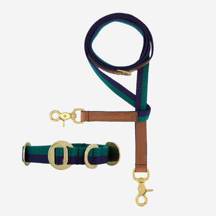 Starter Set - Collar + Lead Small