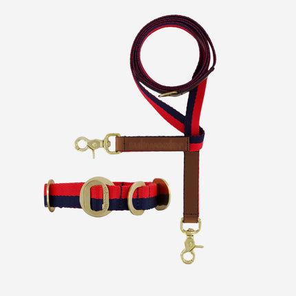Starter Set - Collar + Lead Small