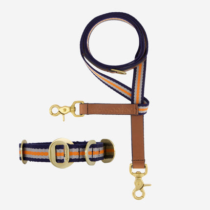 Starter Set - Collar + Lead Small
