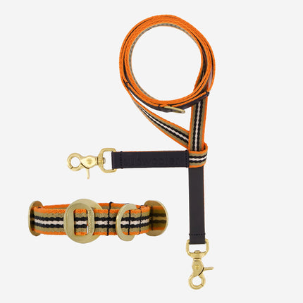 Starter Set - Collar + Lead Small