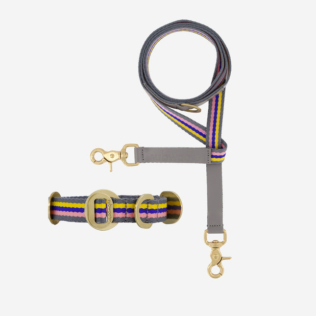 Starter Set - Collar + Lead Small