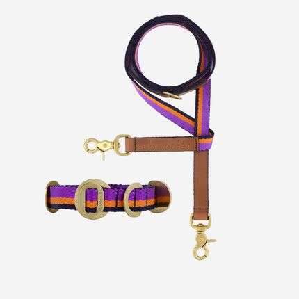 Starter Set - Collar + Lead Small
