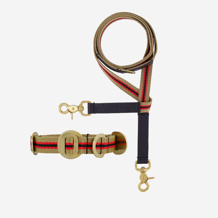Starter Set - Collar + Lead Small