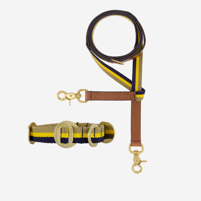 Starter Set - Collar + Lead Small