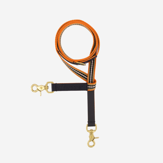 subwooferdog-clearcut-view-from-above-of-orange-sand-and-black-striped-dogs-leash
