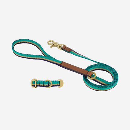 Starter Set - Collar + Lead Tiny