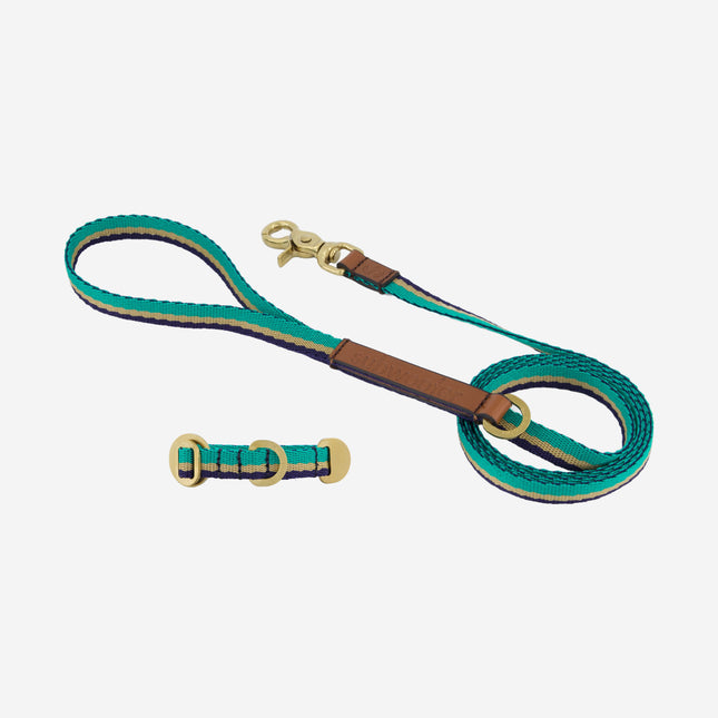 Starter Set - Collar + Lead Tiny
