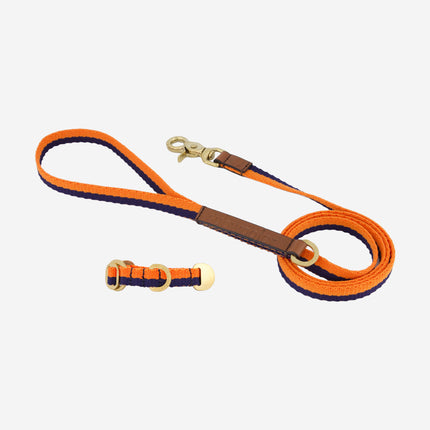 Starter Set - Collar + Lead Tiny