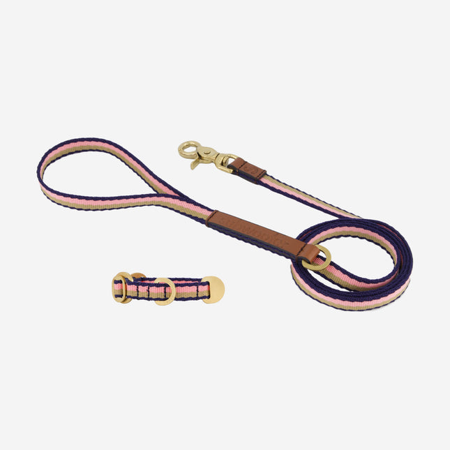 Starter Set - Collar + Lead Tiny