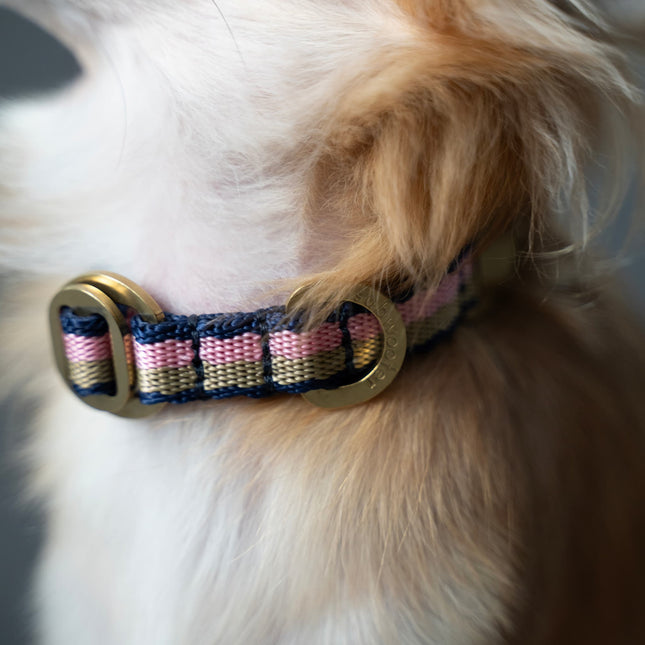 PIHA Dog Collar 14mm - Pink Sand ®