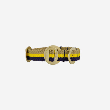clear-cut-straight-on-view-of-collar-with-yellow-beige-and-navy-stripe-and-polished-brass-hardware