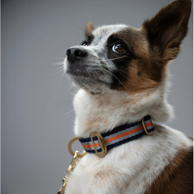 PIHA Dog Collar SMALL - Orange Silver ®