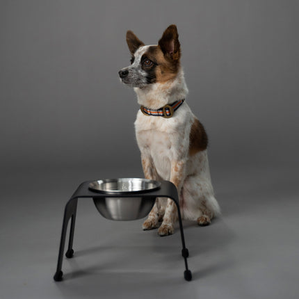 ŌHOPE elevated pet bowl - Small Black ®