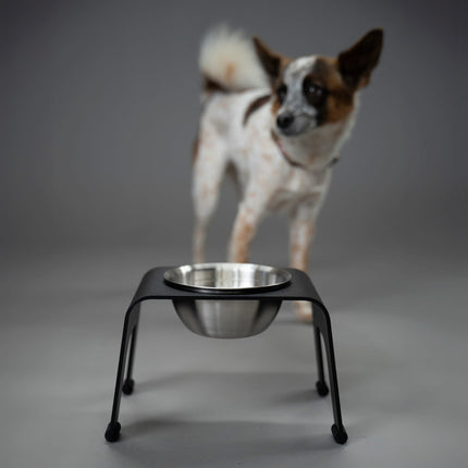 ŌHOPE elevated pet bowl - Small Black ®